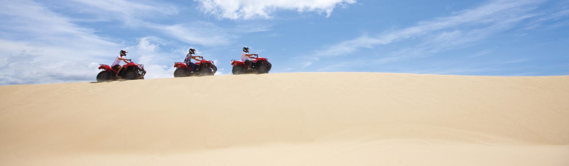 史蒂芬斯港史托克顿沙丘 (SourceStockton Bight Sand Dunes, Port Stephens)